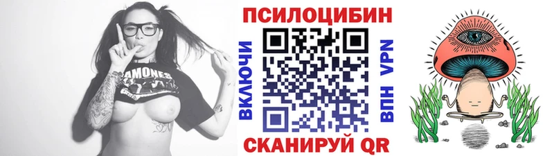 MEGA как зайти  Абаза  Галлюциногенные грибы Psilocybine cubensis  где продают  